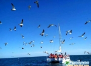 关于大连实德战术如虎添翼，决心夺魁的信息